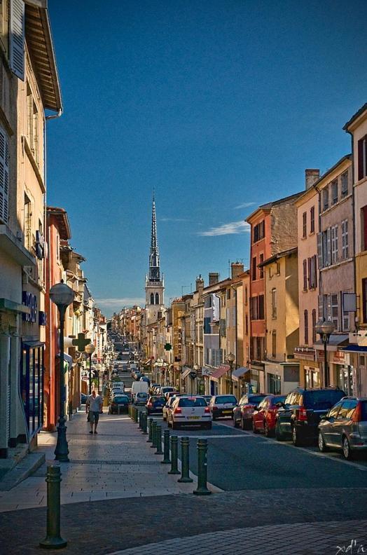 Le Cosy Shelby Proche Gare 150M Lägenhet Villefranche-sur-Saône Exteriör bild